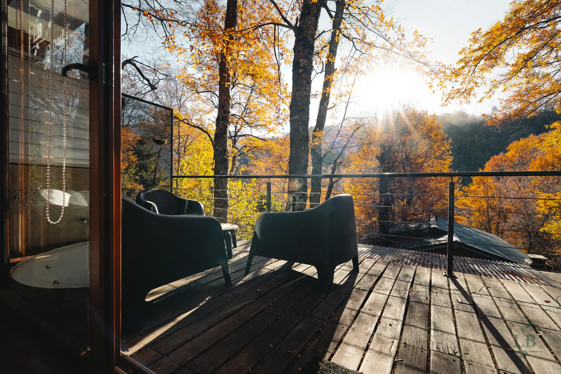 Deck de madera al bosque al atardecer