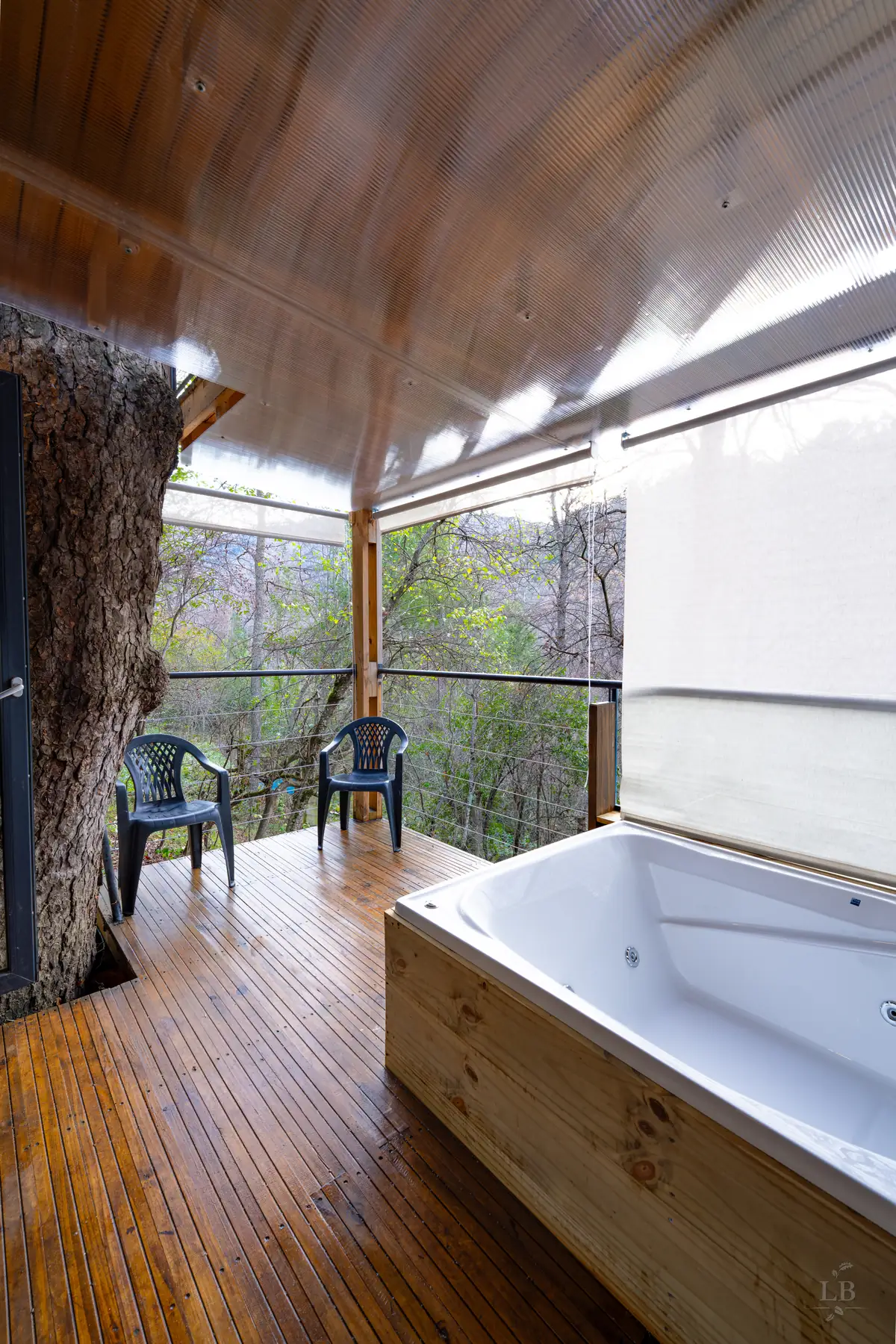 Deck con jacuzzi y tronco que lo atraviesa